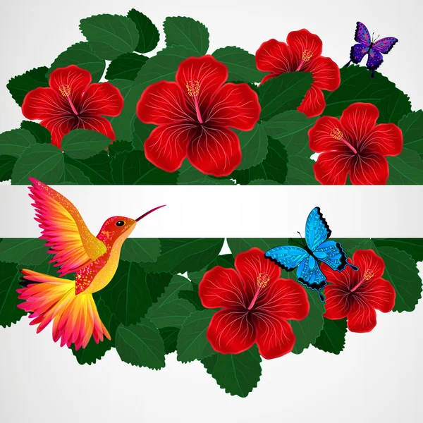 Hintergrund florales Design. Hibiskusblüten mit Vogel, Schmetterling — Stockvektor