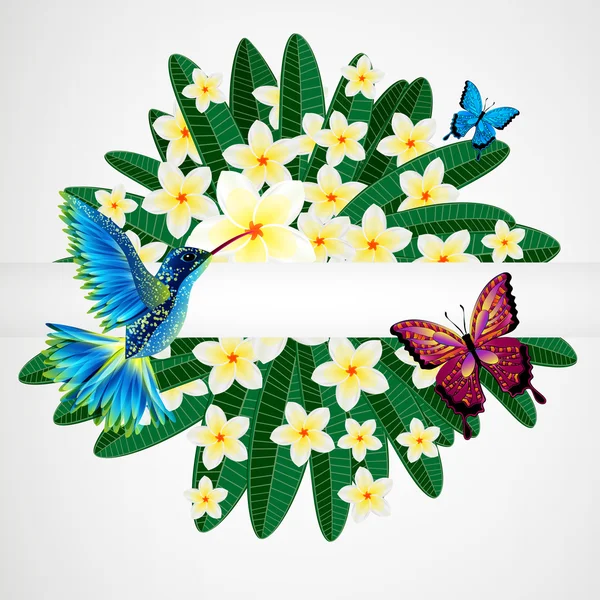 Hintergrund florales Design. Plumeria Blumen mit Vogel, Schmetterling — Stockvektor