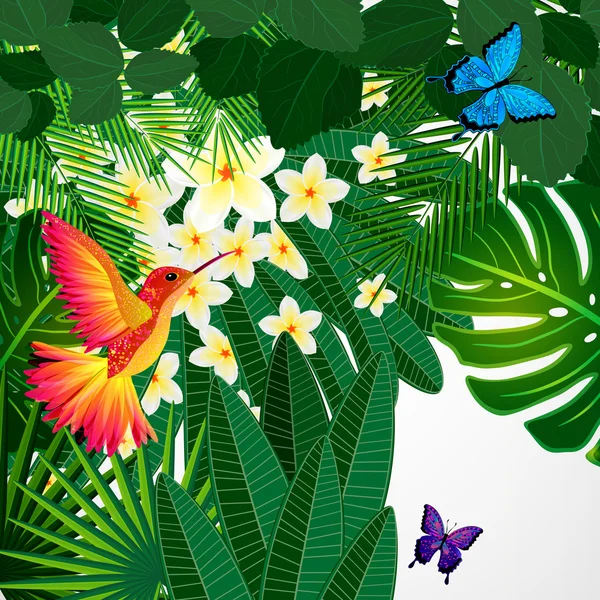 Desenho floral tropical fundo com pássaro, borboletas . — Vetor de Stock