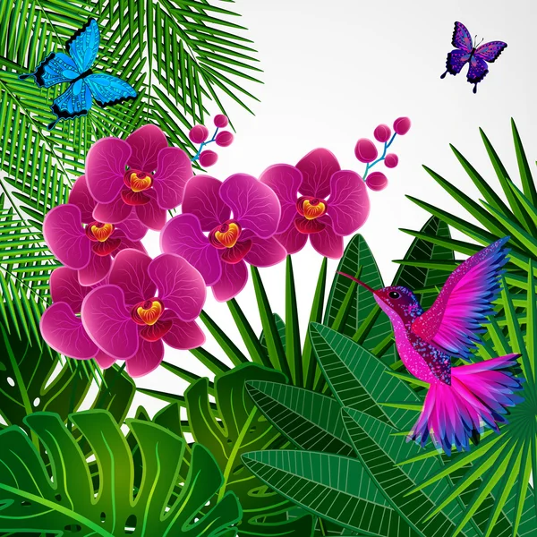 Arrière-plan design floral. Fleurs d'orchidée avec oiseau, papillons . — Image vectorielle