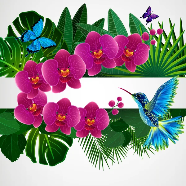 Цветочный дизайн фона. Орхидеи цветы с птицей, бабочки . — стоковый вектор