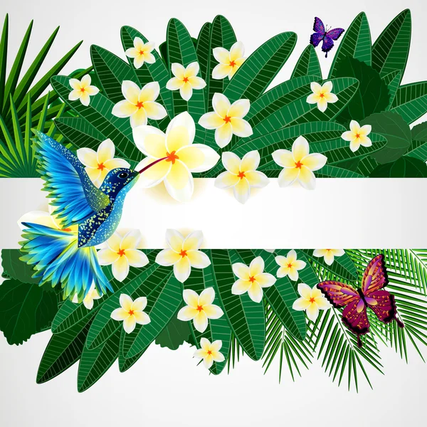 Latar belakang desain bunga tropis dengan burung, kupu-kupu . - Stok Vektor