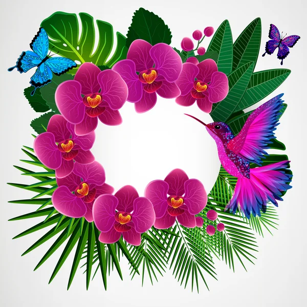 Arrière-plan design floral. Fleurs d'orchidée avec oiseau, papillons . — Image vectorielle