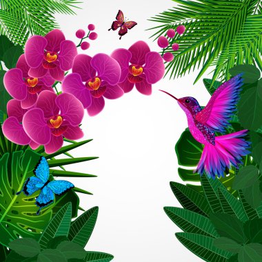 Çiçek tasarım arka plan. Kuş, kelebekler ile orkide çiçekleri.