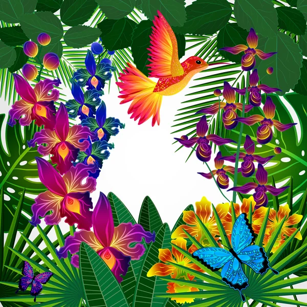 Fondo de diseño floral. Flores tropicales de orquídea, pájaros y pero — Vector de stock