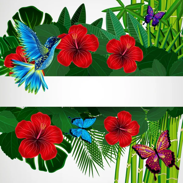 Fondo de diseño floral tropical con aves, mariposas . — Archivo Imágenes Vectoriales