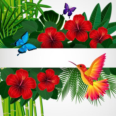 Tropikal çiçek tasarım arka plan ile kuş, kelebek.