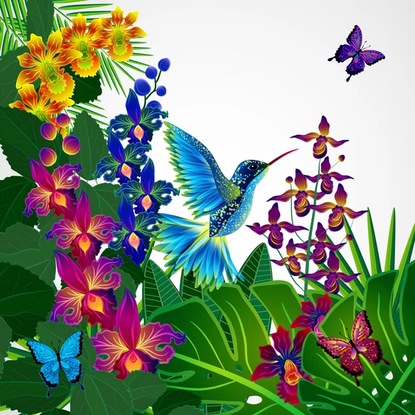 Hintergrund florales Design. tropische Orchideenblumen, Vögel. — Stockvektor