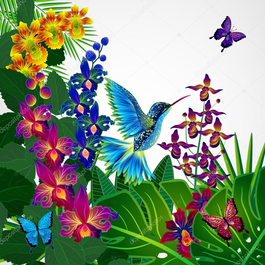 Floral design background. Tropical orchid flowers, birds.