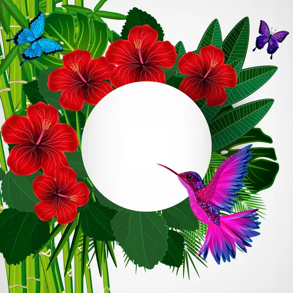 Fond floral tropical avec oiseau, papillons . — Image vectorielle