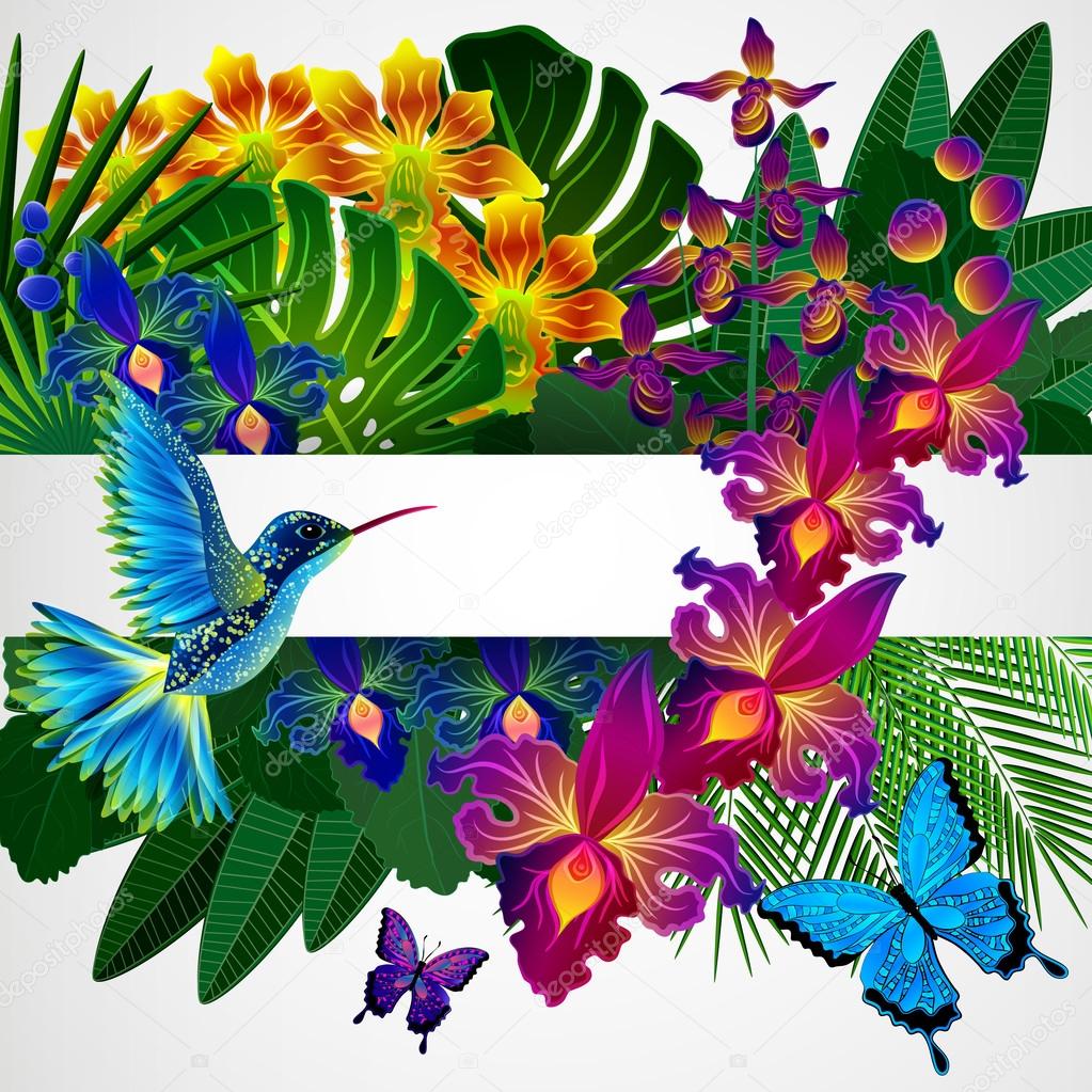 Floral design background. Tropical orchid flowers, birds and but