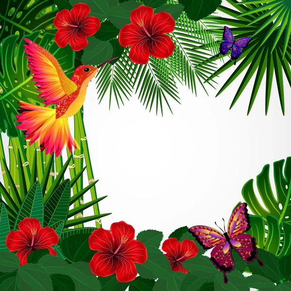 Çiçek tasarım arka plan. Tropikal orkide çiçekler, kuşlar. — Stok Vektör