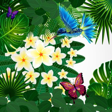 Tropikal çiçek tasarım arka plan ile kuş, kelebek.