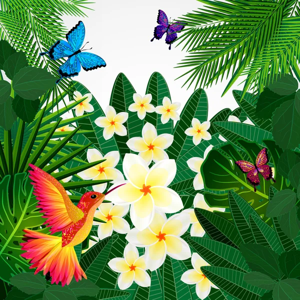 Fondo de diseño floral tropical con aves, mariposas . — Archivo Imágenes Vectoriales