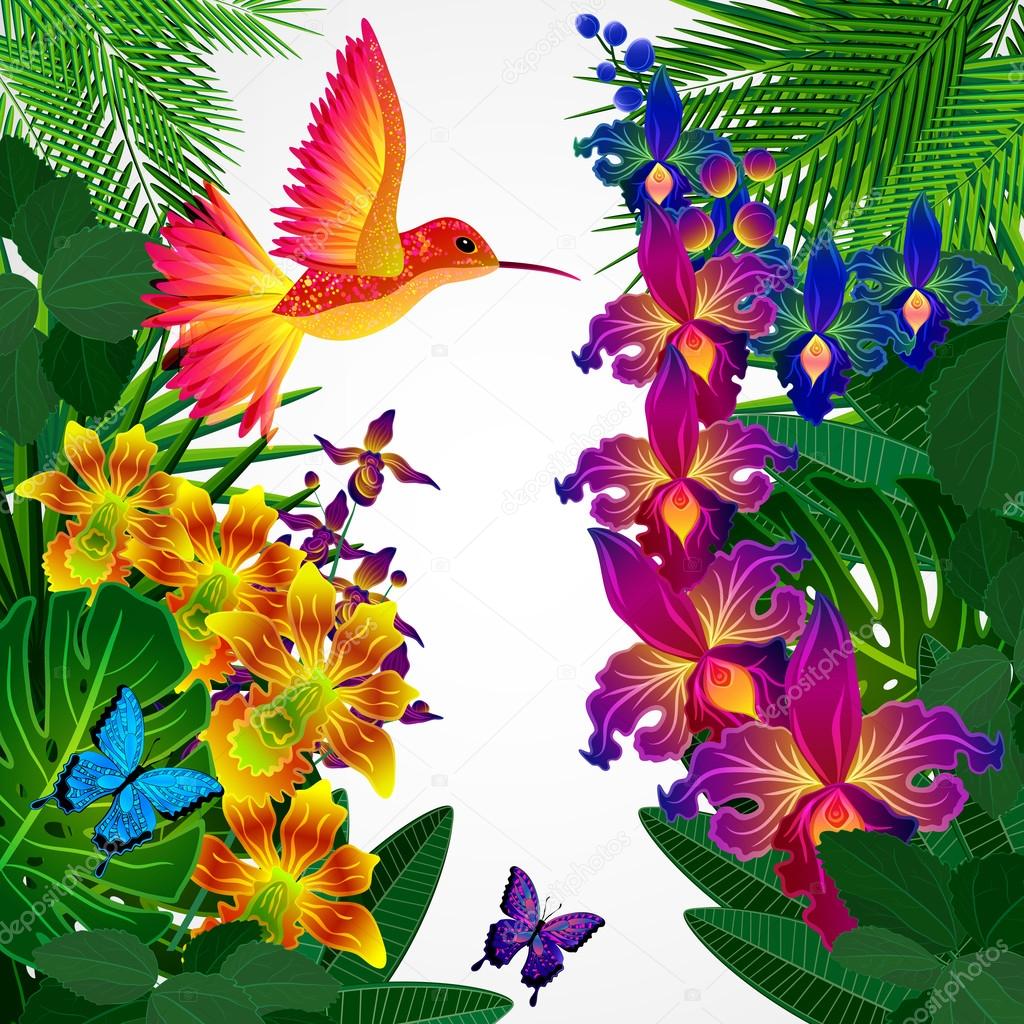 Floral design background. Tropical orchid flowers, birds.