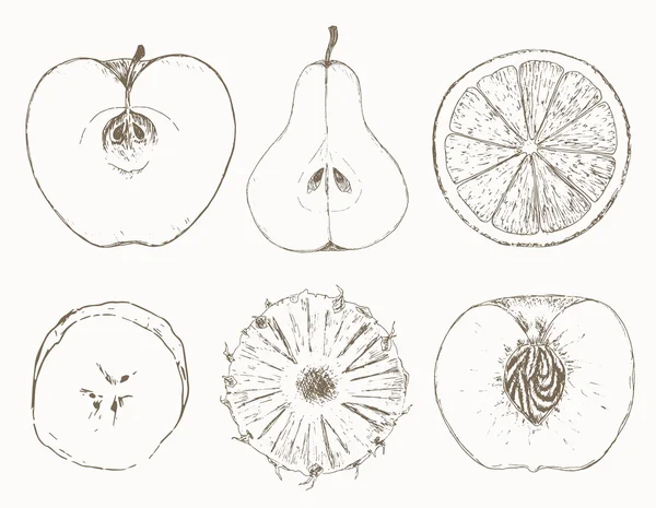 Bosquejo de media fruta — Archivo Imágenes Vectoriales