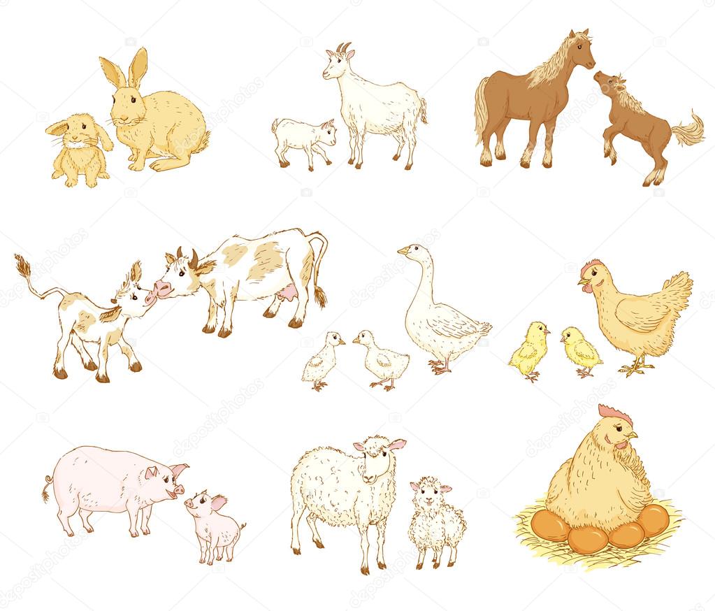 Baby and mother animals Stock Vector Image by ©nordfox #101304814