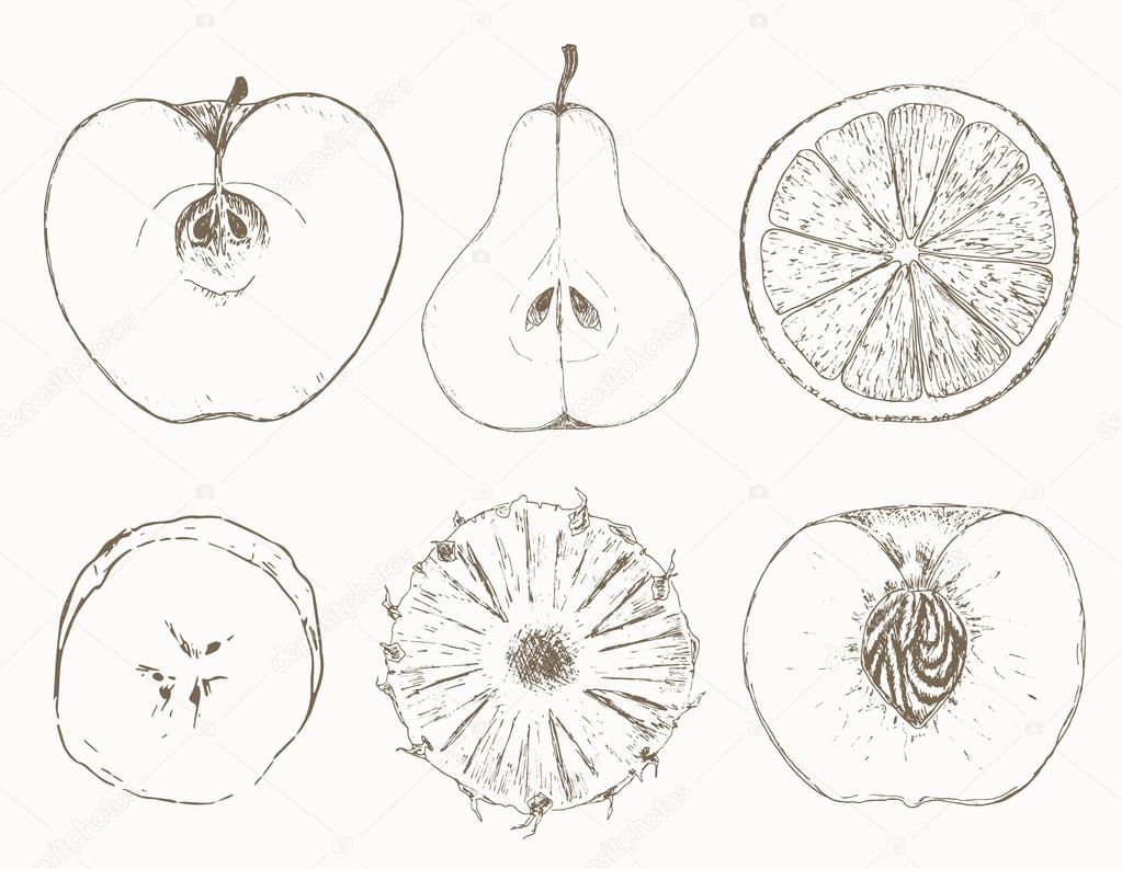 Drawing Watermelon Royalty-Free Images, Stock Photos & Pictures |  Shutterstock