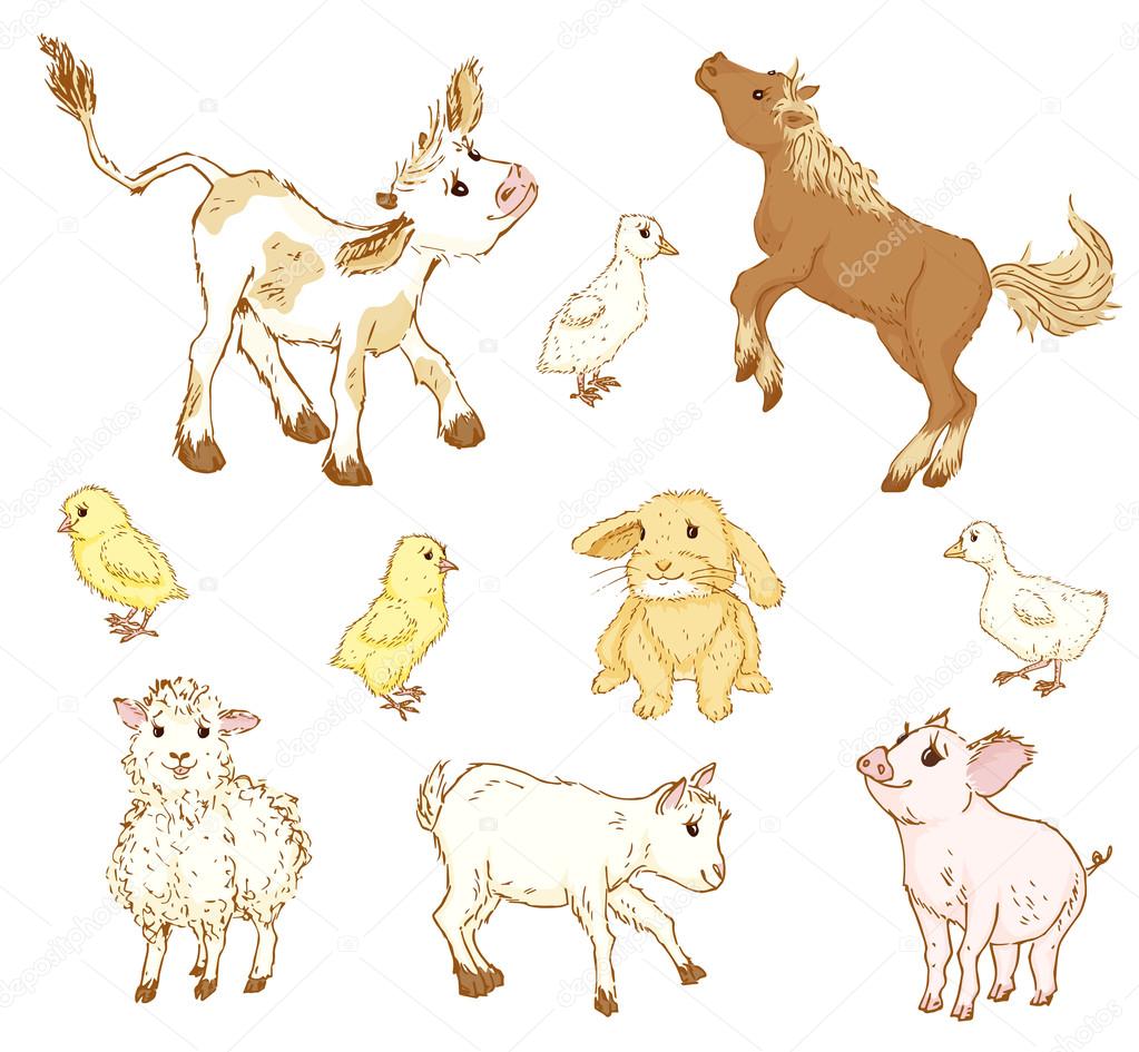 Dictures: baby animals drawing | Farm baby animals. — Stock Vector