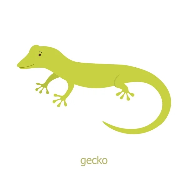 Gecko. Personagem dos desenhos animados . — Vetor de Stock
