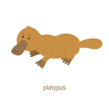 Platypus. Çizgi film karakteri