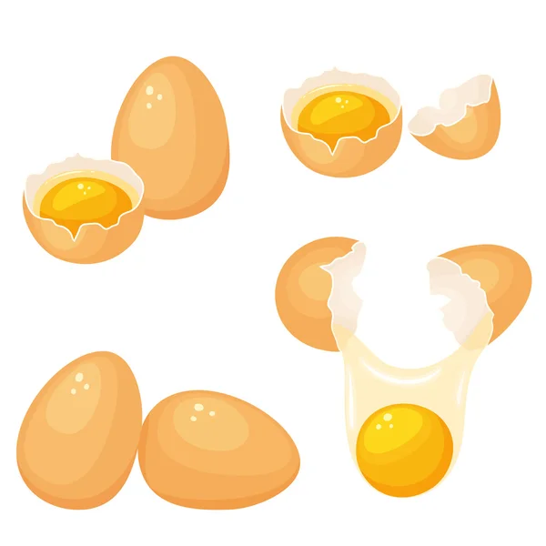 Zestaw żółtka jaj. — Wektor stockowy