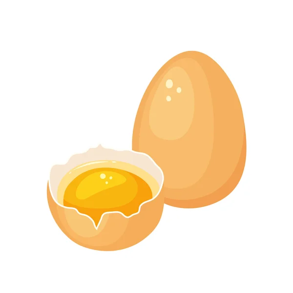 Crack egg with yolk — Stock Vector