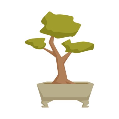 tencerede Bonsai