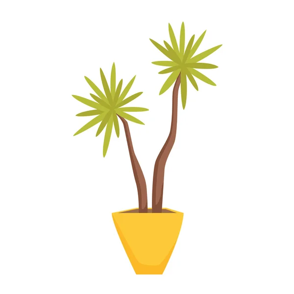 Dracaena in pot — Stockvector