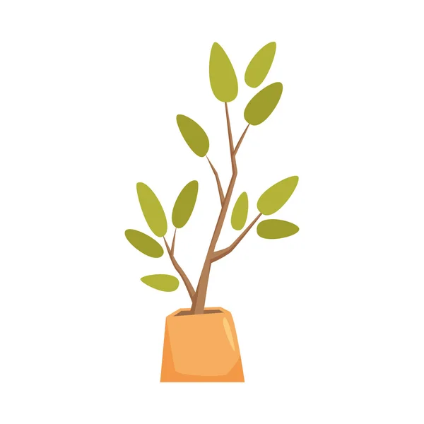 Planta de caucho, pipal — Vector de stock