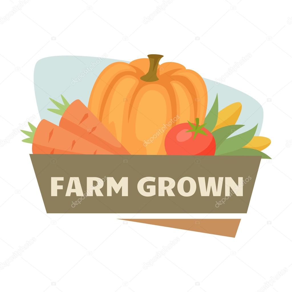 Farm harvest label or badge. Farm vegetable logo. Natural food, organic product, locally grown. Cartoon ripe vegetables. Farmers market label