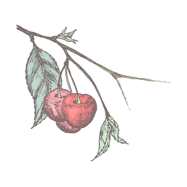 Винтажный вишневый фон — стоковый вектор