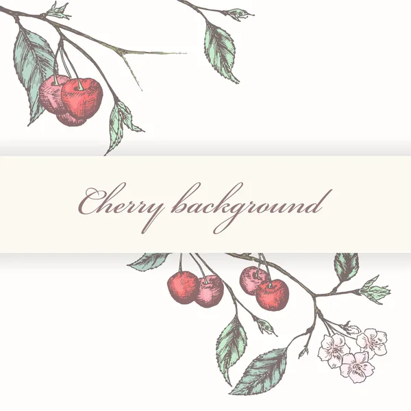 Vintage cherry achtergrond — Stockvector