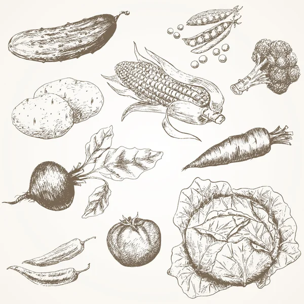 Conjunto de verduras . — Archivo Imágenes Vectoriales