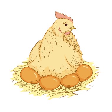Hen on eggs clipart