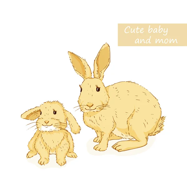 Rabbit and bunny — Stock Vector