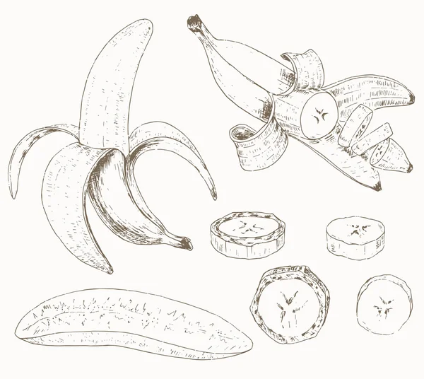Banán készlet — Stock Vector