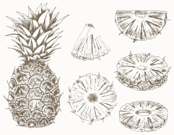 Sada ananasu — Stockový vektor