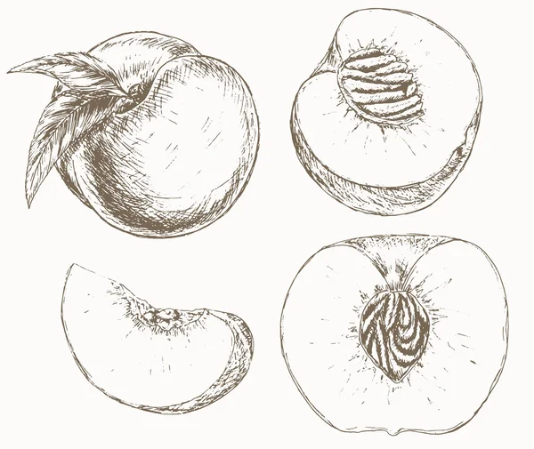 Персиковый набор — стоковый вектор