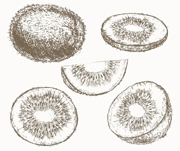 Set di kiwi . — Vettoriale Stock