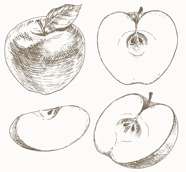 Set di mele . — Vettoriale Stock