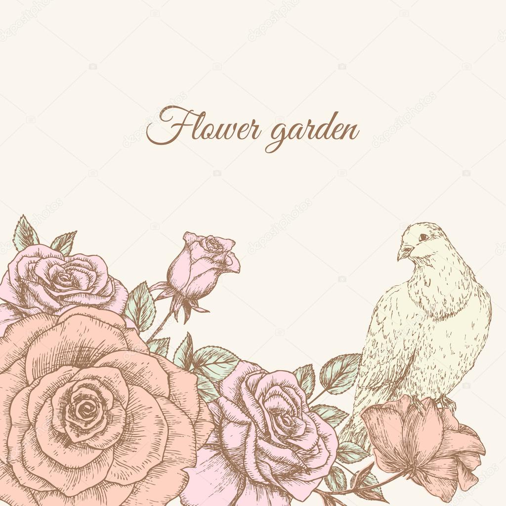 Rose Avec Colombe Image Vectorielle Nordfox 99648096