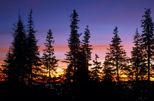 Sonnenaufgang. — Stockfoto