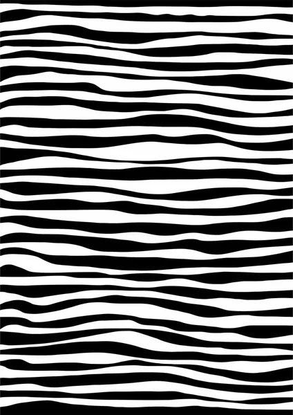 Zebra. . — Vetor de Stock