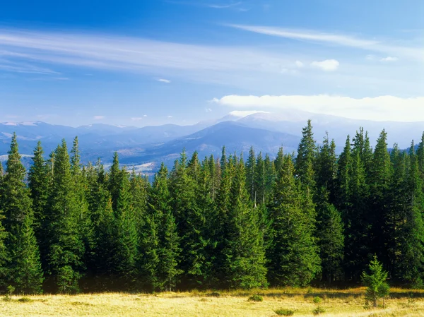 Paisaje de montaña. — Foto de Stock