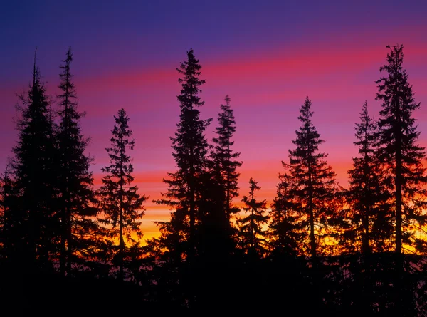 Sonnenaufgang. — Stockfoto