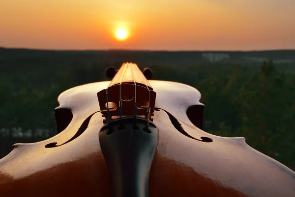 Old violin at sunset. — Stock Photo, Image