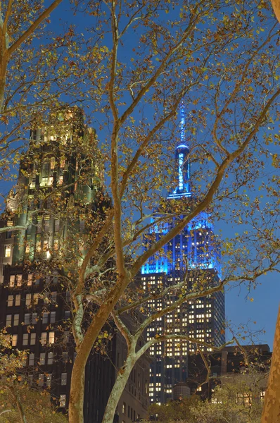 Empire State Building at night. — Stock Photo, Image