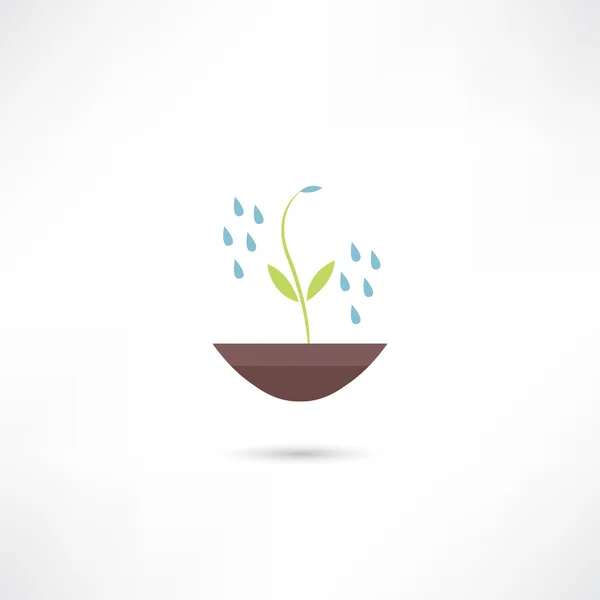 Planta con gotas de agua icono — Vector de stock