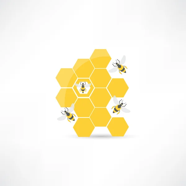 Honung och bin — Stock vektor
